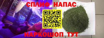 сатива Пушкино