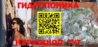 apvp Пугачёв